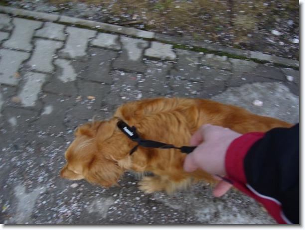 Další snímek