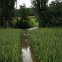 klenci_2009_0062