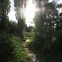 klenci_2009_0701